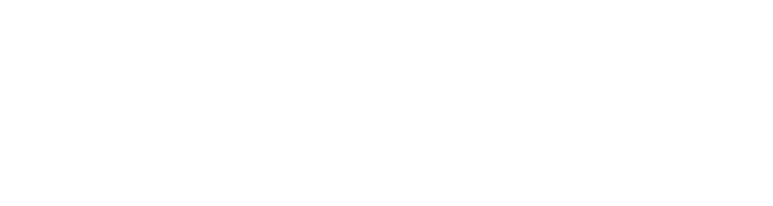Logo-plupera-white